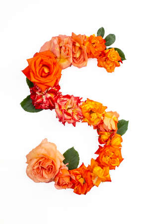 Capital letter S made with red orange roses, isolated on white backgroundの写真素材