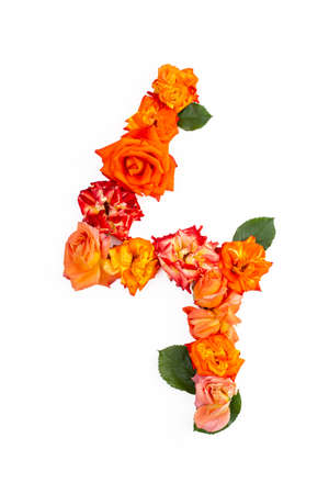 Number 4 - four made with real red orange roses, isolated on white background.の写真素材