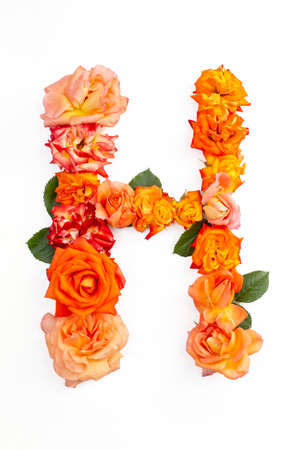 Capital letter H made with red orange roses, isolated on white backgroundの写真素材