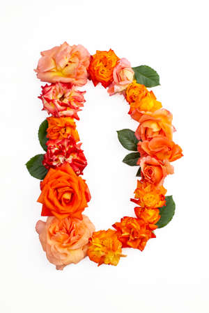 Capital letter D made with red orange roses, isolated on white backgroundの写真素材
