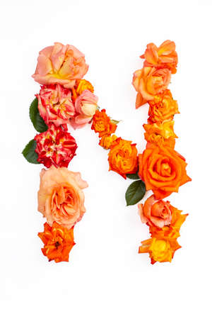 Capital letter N made with red orange roses, isolated on white backgroundの写真素材