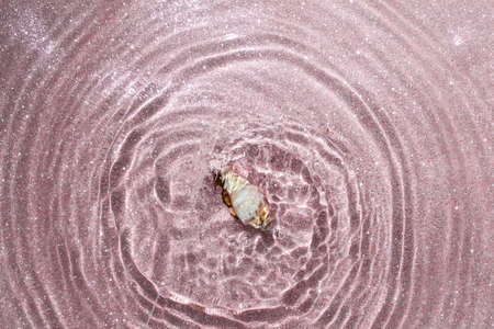 Closeup transparent clear water, surface vortex texture with splashes and bubbles. Trendy abstract...