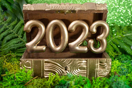 2023 golden numbers emerging from a gold painted treasure box on green composition with moss, fern and glitter. Studio photography of a new year background.の写真素材