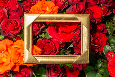 golden frame on red and orange roses, valentine's floral backgroundの写真素材