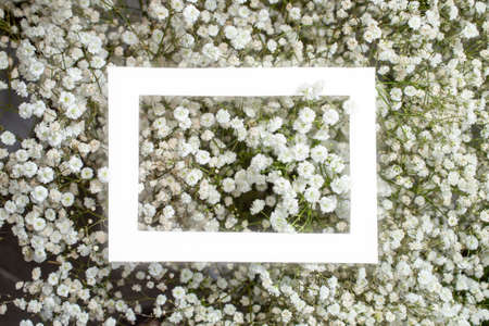 Gypsophyla paniculata little flowers with a white glowing frame in the middle.