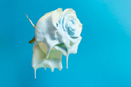 white rose dipped in bright blue paint, with paint drips isolated on blue background, creative close up conceptの写真素材