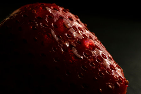 strawberry macro outline on a black background, red on blackの写真素材