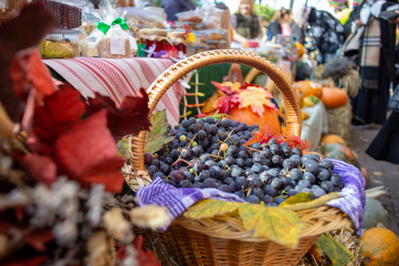 Basket full of black grapes, in a  autumn marketの写真素材