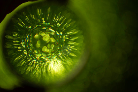 Green glitter reflections thru a lens ball, on black background, soft focus photographyの写真素材