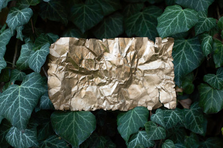 golden crumpled paper page on ivy leaves background, soft focus close up