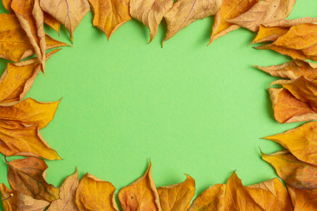 dried leaves frame on green paper background. Soft focus close upの写真素材