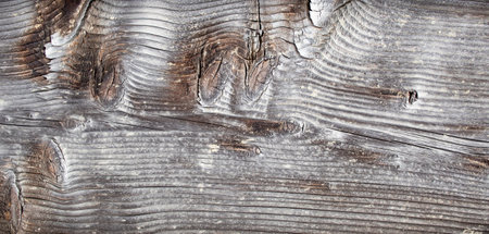 Dry, sun discolored wood board, close up, Textured backdrop.