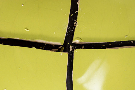 Green plate broken in quarters on black background, soft focus close up