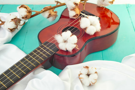 Cotton flowers on a ukulele guitar, soft music album cove concept. Soft focus close upの写真素材