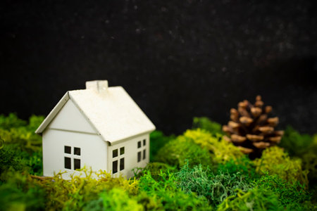 Model white house on green lichen or moss with a pine cone, creative composition soft focus close upの写真素材