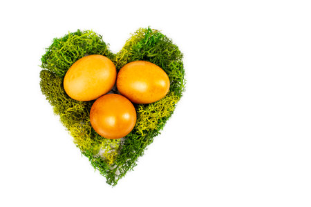 Three golden eggs in a heart shaped nest made from green moss isolated on white backgroundの写真素材