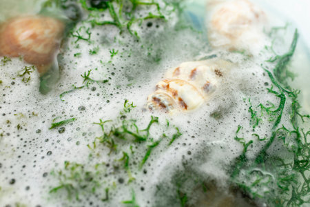 Sea water foam with seaweed and seashells, abstract backdrop, soft focus close up