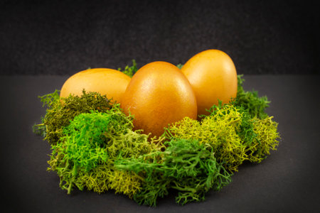 Three golden eggs in a moss lichen nest, on black background  soft focus close upの写真素材