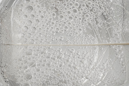 skeleton leaf structure in fizzy water , abstract bubbles texture, soft focus close upの写真素材