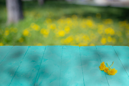 Blue painted wood boards stage with defocused dandelion flowers field in the background, empty space for product displayの写真素材