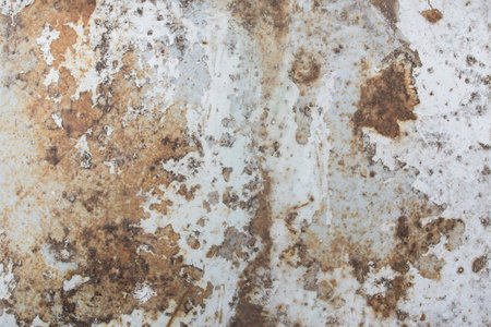 Rusty steel  plate with pealed white paint, weathered metal background, close up