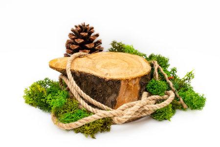 Tree trunk cross section with jute rope, lichen and a pine cone, setting for product display, isolated on white backgroundの写真素材