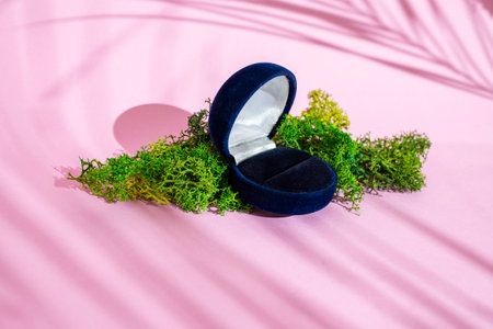 Empty jewelry box on stabilized lichen moss and pink background with palm leaves shadows, minimal...