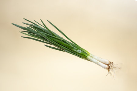Bunch of spring onions levitating on beige