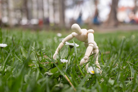 Wooden mannequin model bent over a wild daisy flower, in the green grass, soft focus close up