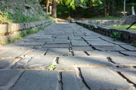 Perspective photography of a stone alley thru the forestの写真素材