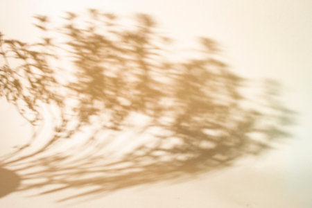 Exotic plant leaves shadows on beige paper background, lush silhouettes texture, abstract backdrop for product placementの写真素材