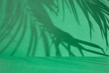 Exotic palm leaves shadows on beige paper background, lush silhouettes texture, abstract defocused backdropの写真素材