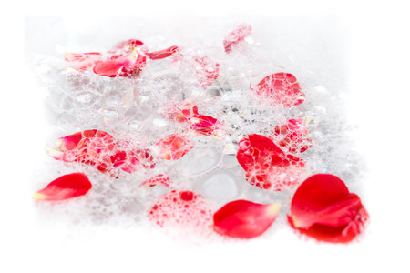 White bath foam with red roses petals floating, abstract bubbles textureの写真素材