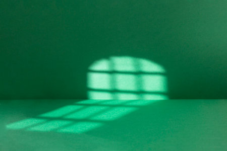Abstract green room background with sun light trails, Backdrop with shadows of a window for product display defocused paperの写真素材