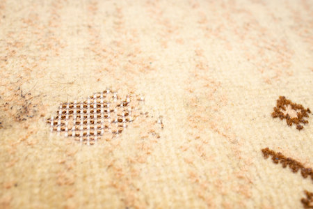 Moth infestation on a wool rug, soft focusの写真素材