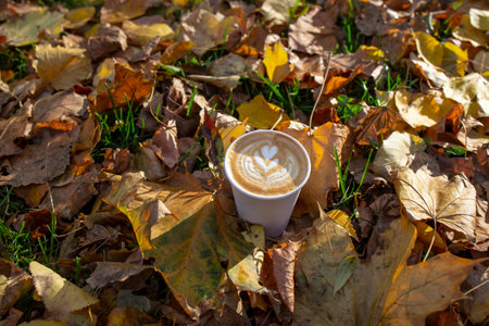 Latte art in a disposable paper cup, surrounded by golden autumn leaves, close upの写真素材