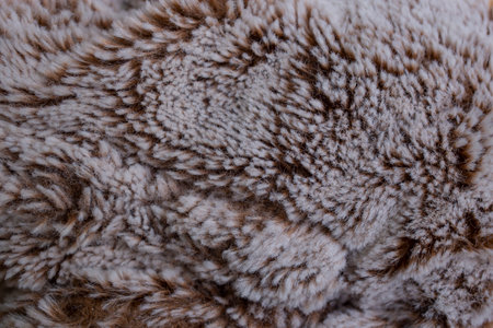 fluffy structure close up, brown gray abstract backdropの写真素材