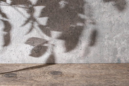 Beautiful backdrop with cement textured wall, weathered wood desk and tree foliage shadows silhouettes, copy space for productの写真素材