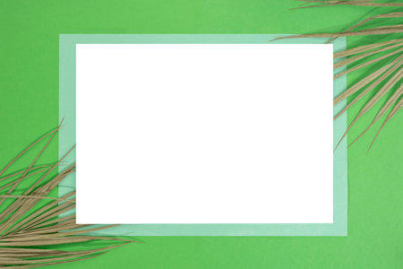 Exotic palm leaves on green paper background , blue frame and white empty rectangle  , abstract ...