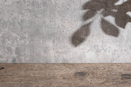 Beautiful backdrop with cement textured wall, weathered wood desk and tree foliage shadows...