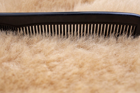 Animal skin wool or hair with a  plastic black comb, grooming close up textureの写真素材
