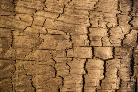 Golden scorched texture surface, abstract minimal backdropの写真素材