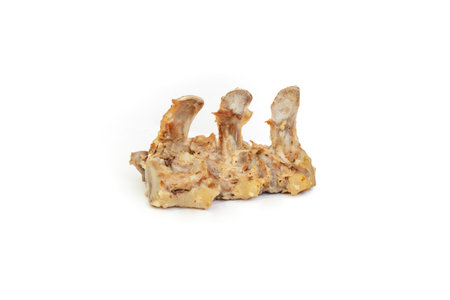 Pork spine bone stripped of meat, dog treat, isolated on whiteの写真素材