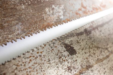 Two rusted obsolete saw blades on white background, soft focusの写真素材