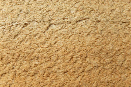 Orange  polyurethane foam harden structure abstract textured backdropの写真素材