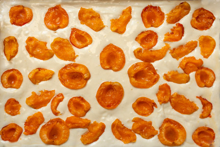Raw sponge cake with apricot halves, full frameの写真素材
