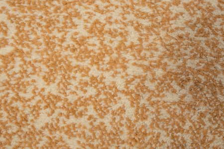 Beige with spots rug fluffy texture, flat lay close up, abstract  backdropの写真素材