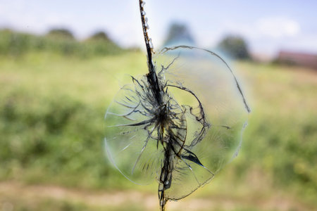 Broken glass with green background, soft focus