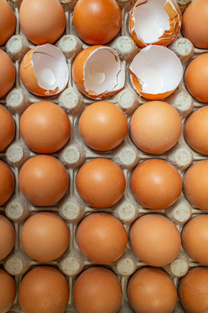 Fresh eggs and empty egg shells on a carton container, flat lay