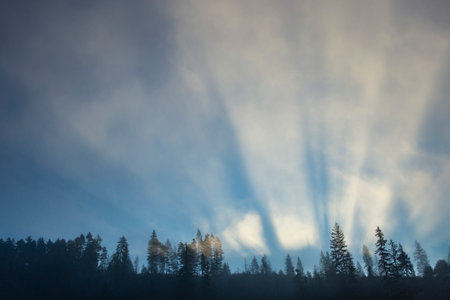 Light and shadows beams formed over a mountain forest crest with the sun rising behind, morning mistの写真素材